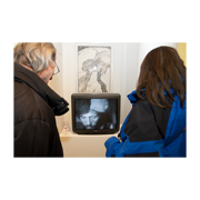 Eröffnung der Ausstellung True Lies im Künstlerhaus