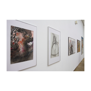 Eröffnung der Ausstellung True Lies im Künstlerhaus