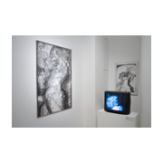 Eröffnung der Ausstellung True Lies im Künstlerhaus